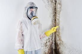 Best Industrial Mold Remediation  in Rosedale, CA